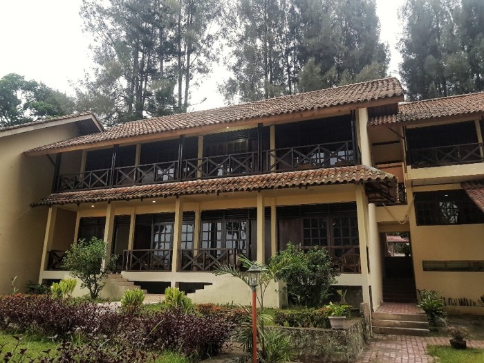 20190321_065819-01-1008x756