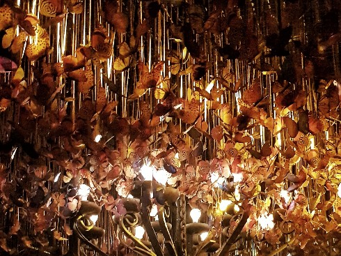 20190328_220644-01-490x367