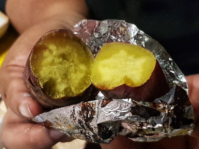 20190409_124142-01-653x489