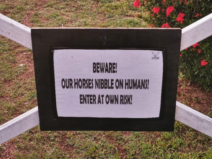 IMG_20190520_071025-01-864x648