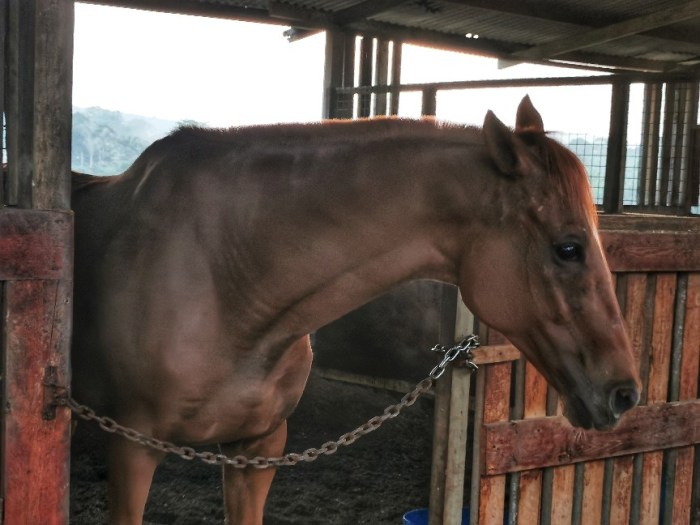 IMG_20190520_071635-01-864x648