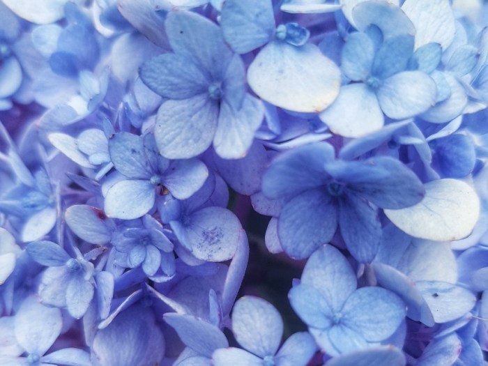 20181222_155954-01-864x648