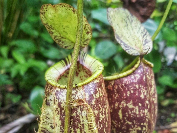 20181222_160023-02-864x648