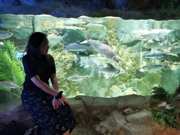 201907055223018118213145212-912x684