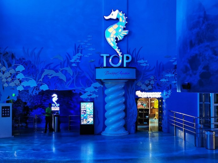 IMG_20190628_145909-01-912x684