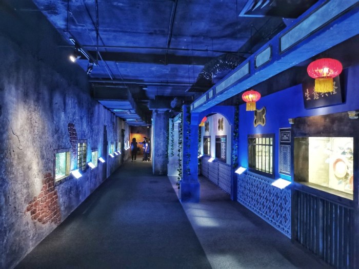 IMG_20190628_150105-01-912x684