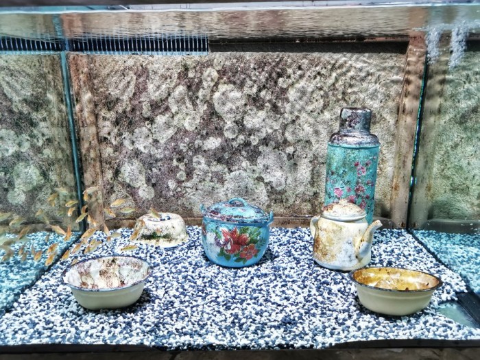 IMG_20190628_150306-01-912x684