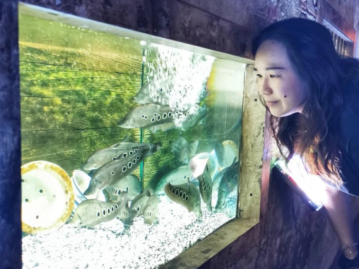 IMG_20190628_150415-01-912x684