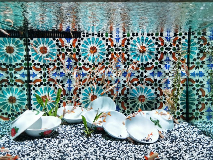 IMG_20190628_150437-01-912x684