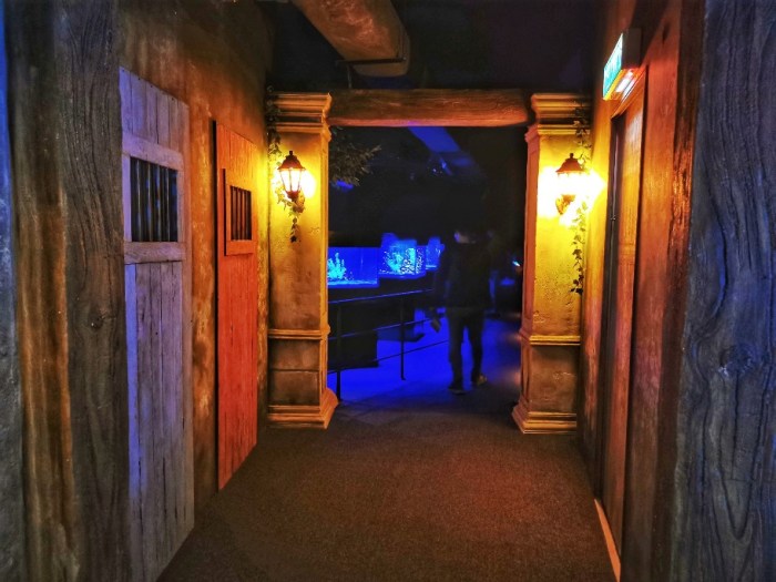 IMG_20190628_150507-01-912x684