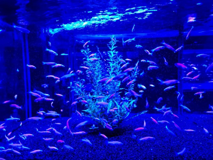 IMG_20190628_150559-01-912x684