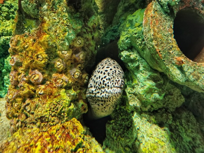 IMG_20190628_152036-01-912x684