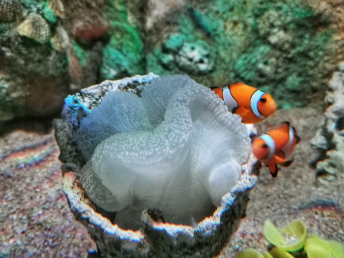 IMG_20190628_152156-01-912x684