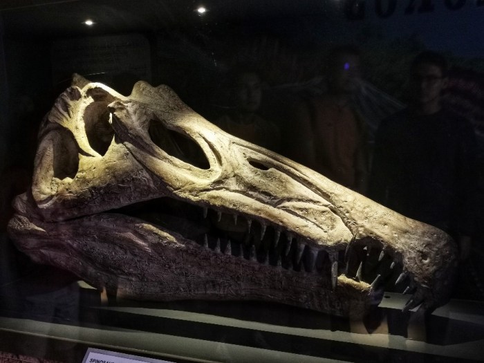 IMG_20190628_153503-01-912x684