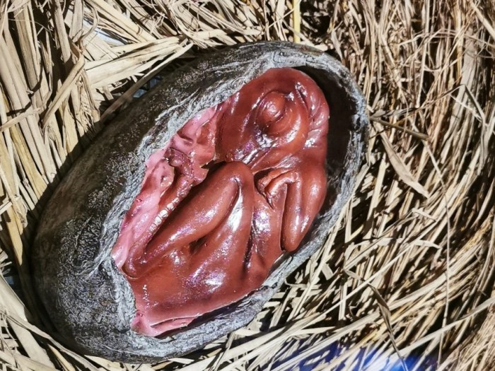 IMG_20190628_153803_117-01-912x684