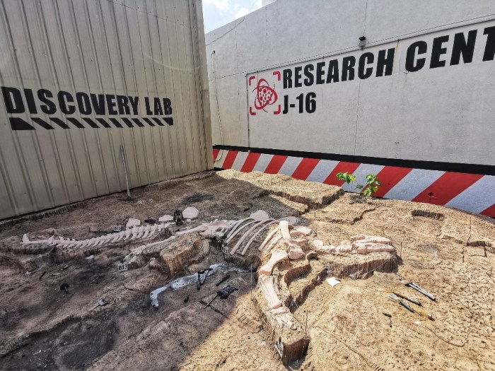 IMG_20190628_153950-01-912x684