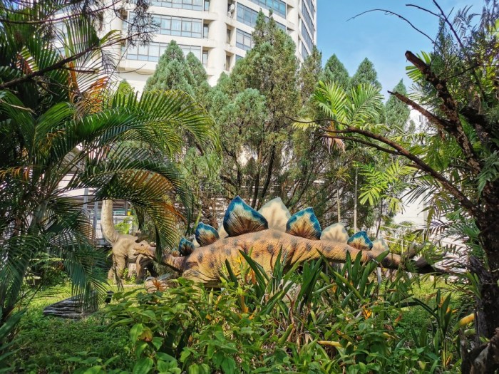 IMG_20190628_154607-01-912x684