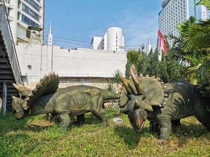 IMG_20190628_154634-01-912x684