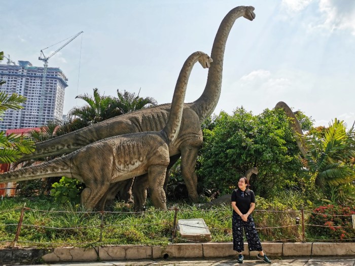 IMG_20190628_155236-01-912x684