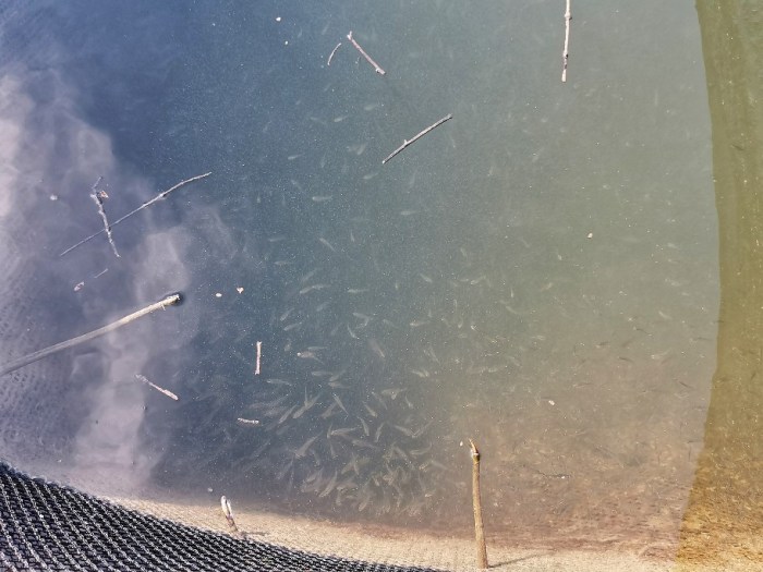 IMG_20190713_091236-01-912x684