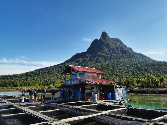 IMG_20190713_091704-01-912x684