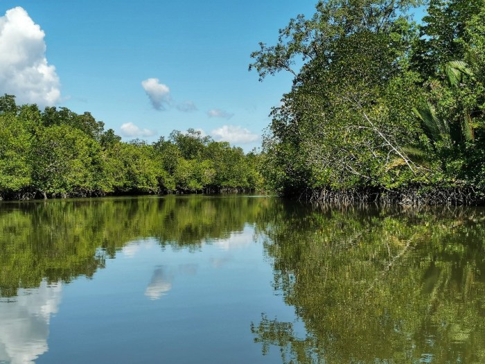 IMG_20190713_104854-01-912x684