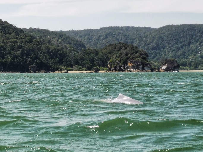 IMG_20190714_105241-01-684x513