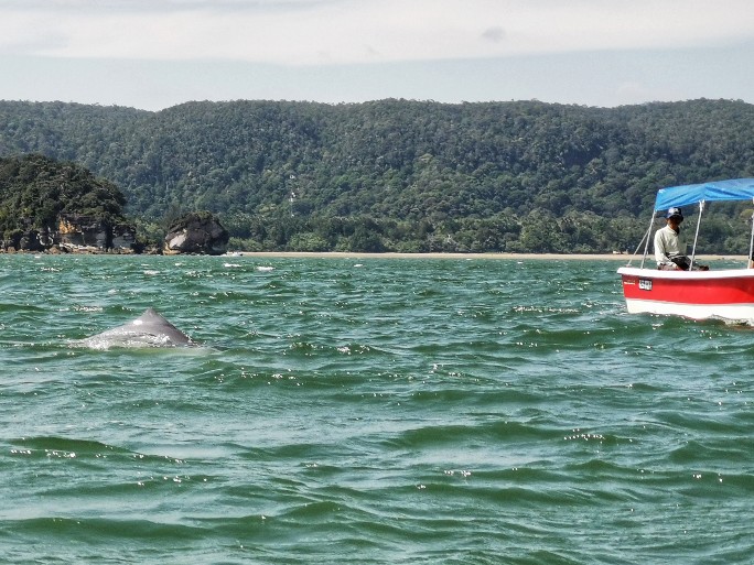 IMG_20190714_105242-01-684x513