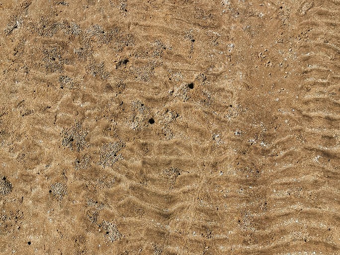 IMG_20190714_110137-01-684x513