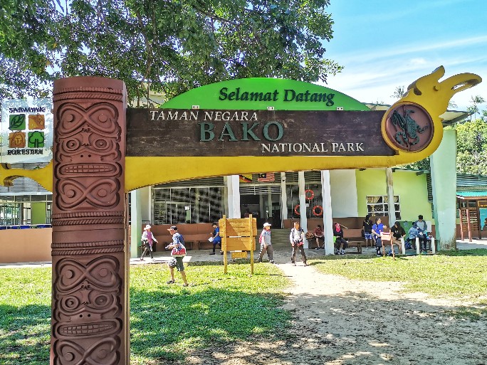 IMG_20190714_110307-01-684x513