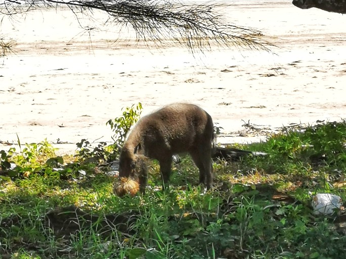 IMG_20190714_110737-01-684x513