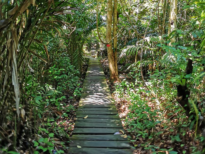 IMG_20190714_114910-01-684x513