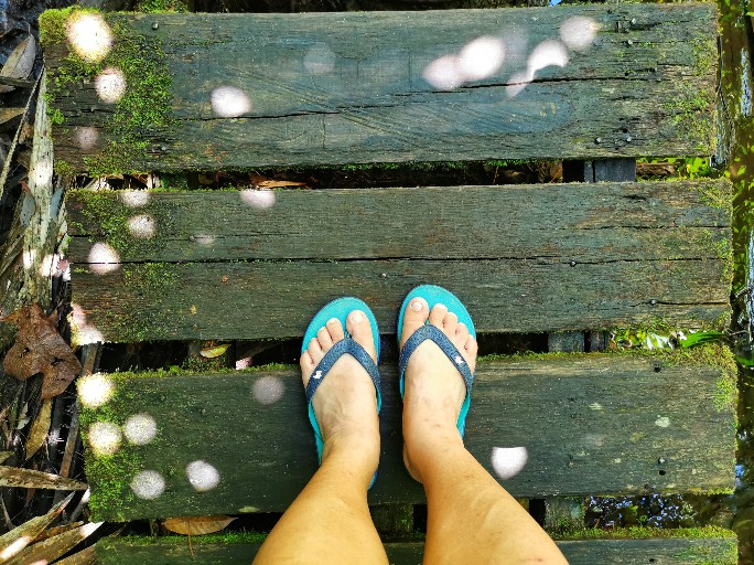 IMG_20190714_115928-01-684x512