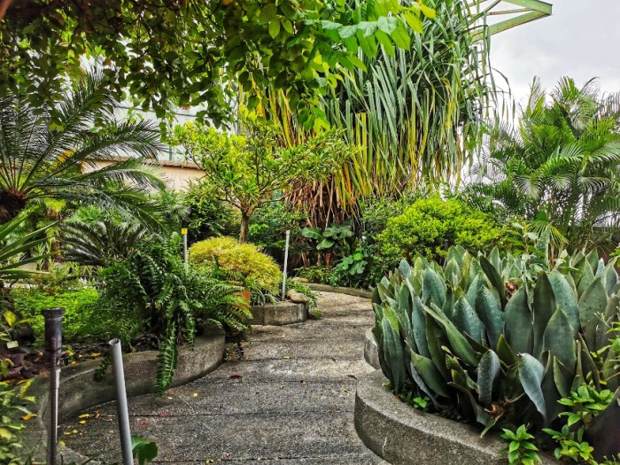 IMG_20190722_145728-01-01-864x648