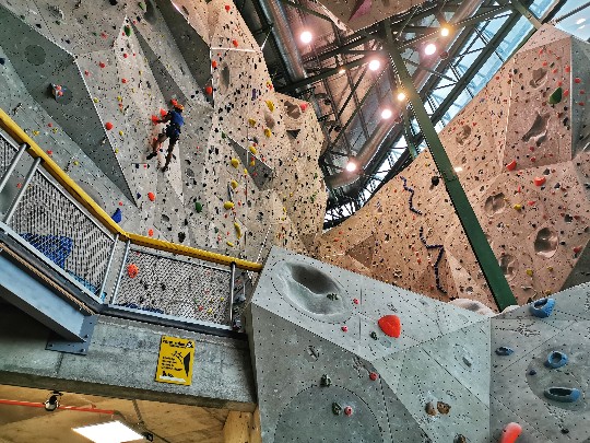 IMG_20190722_151155-01-540x405