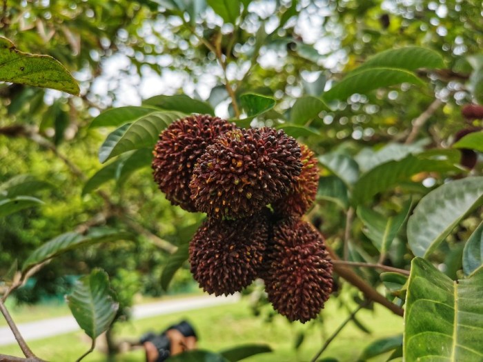 IMG_20190807_105857-01-912x684