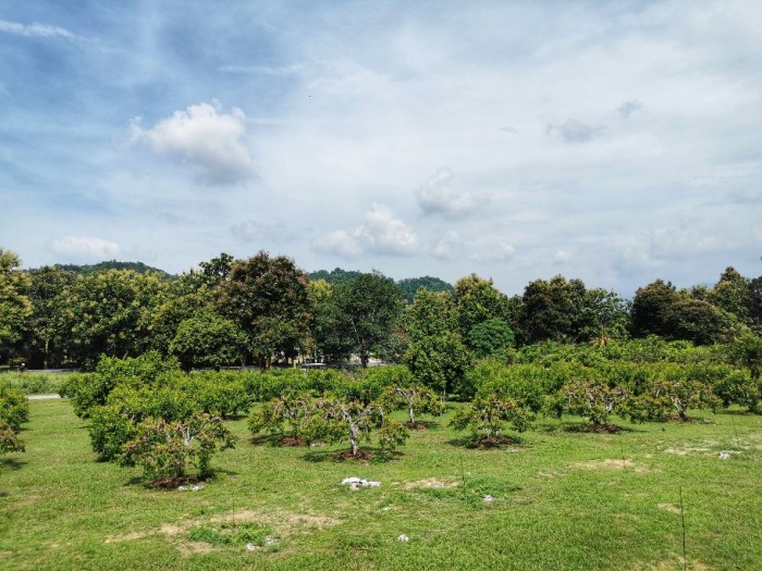 IMG_20190807_111557-01-912x684