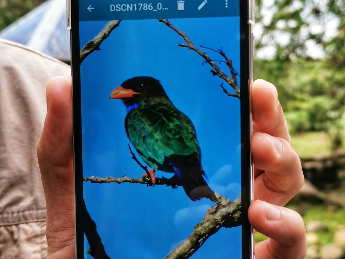 IMG_20190808_102950-01-684x513