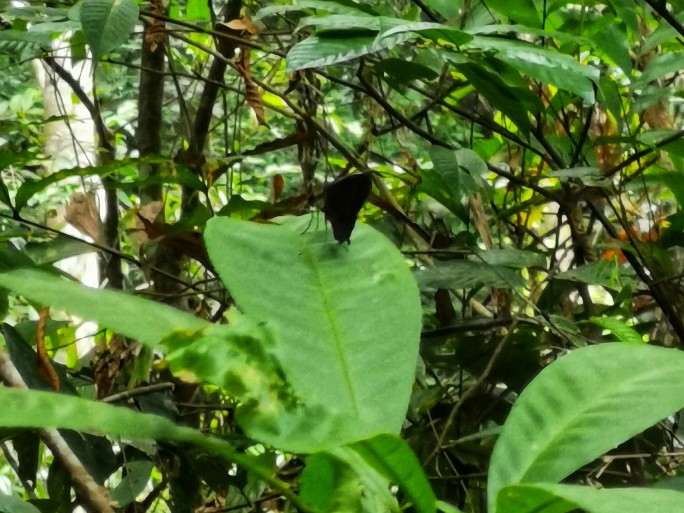 IMG_20190808_104059-01-684x513