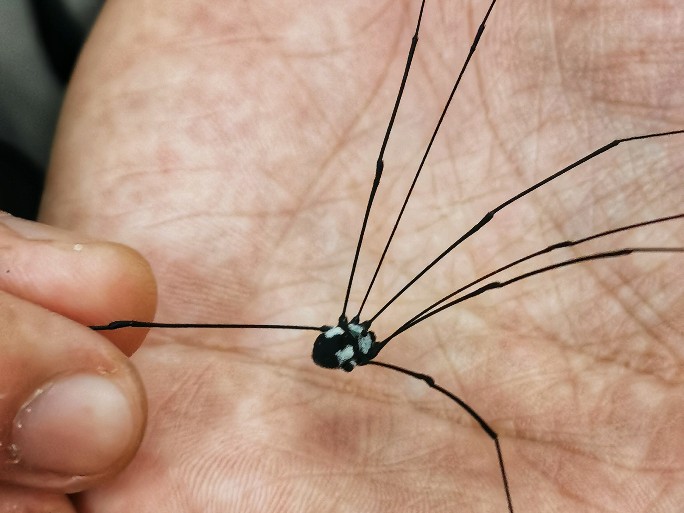 IMG_20190808_104852-01-684x513