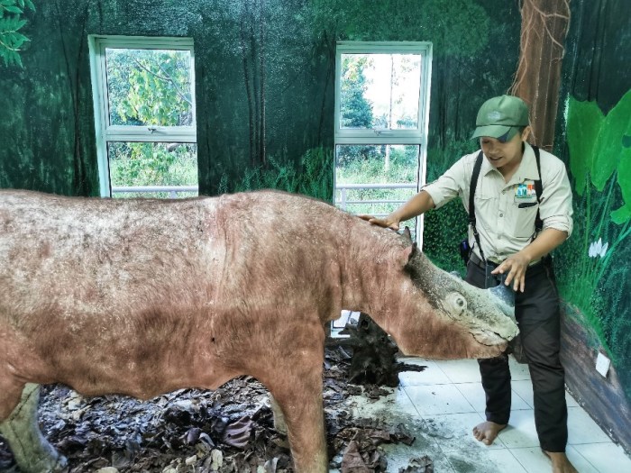 IMG_20190911_171450-01-912x684