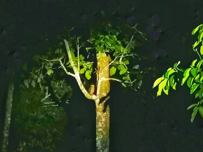 IMG_20190911_202307-01-01-912x684