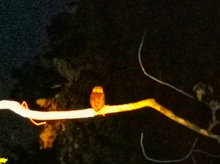 IMG_20190911_204451-01-01-912x683