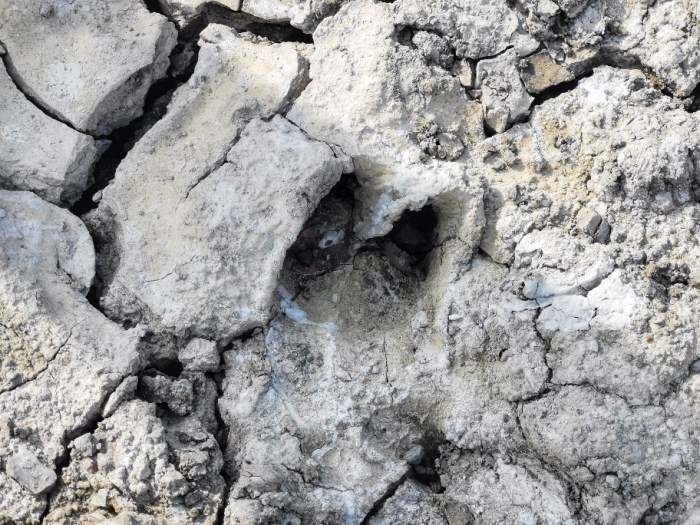 IMG_20190912_074632-01-912x684