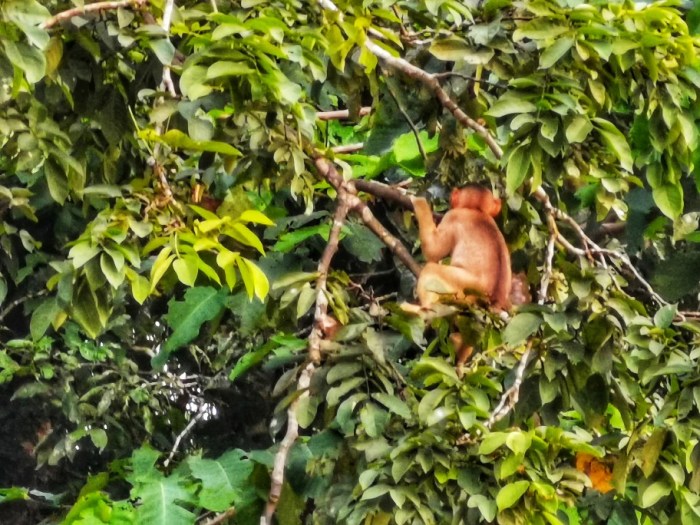 IMG_20190912_173828-01-01-912x684