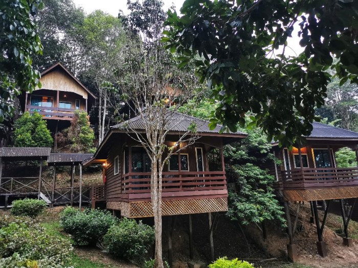 IMG_20190913_060754-01-912x684