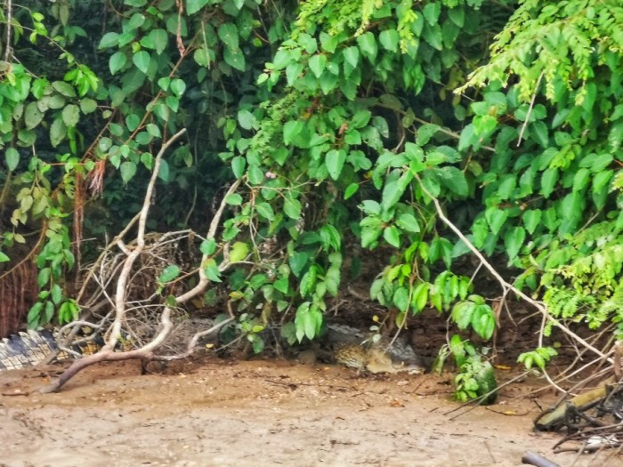 IMG_20190913_064801-01-912x684