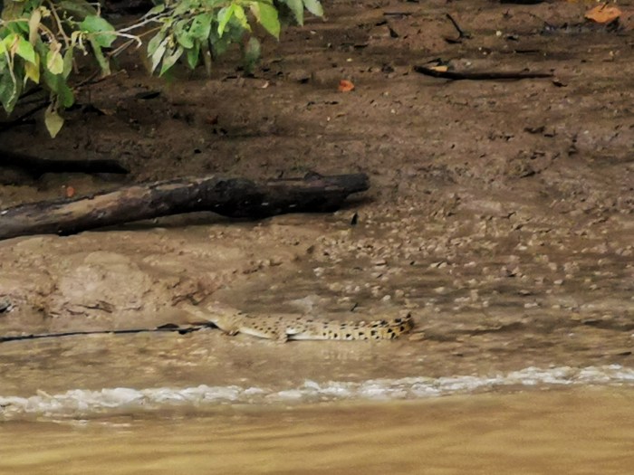 IMG_20190913_065146-01