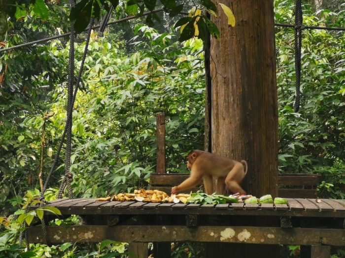 IMG_20190914_100913-912x684