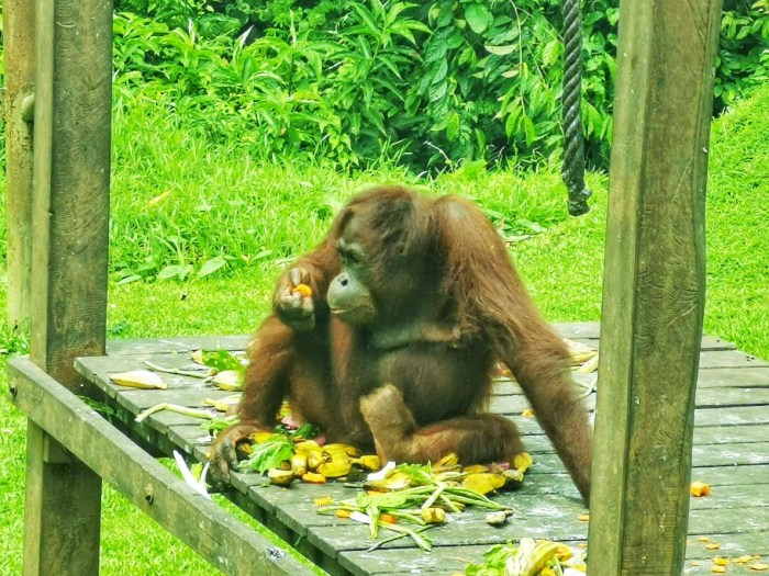 IMG_20190914_104222-01-912x684